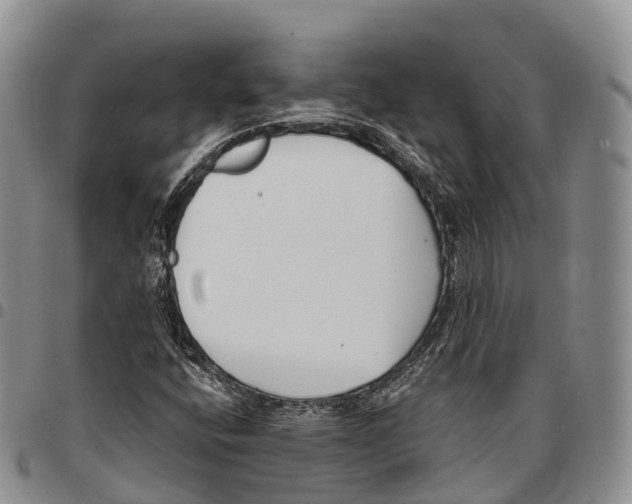 X0000096721400200803041352