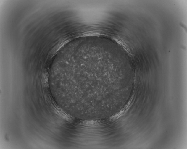 X0000096721401200803041352