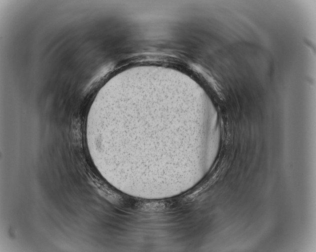 X0000096721403200803041352