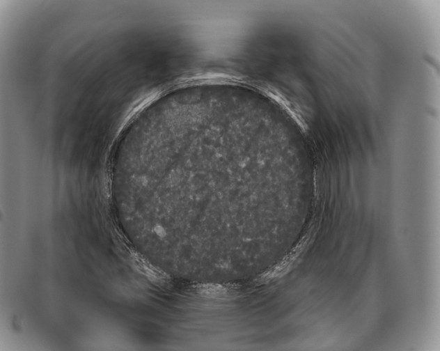 X0000096721405200803041352