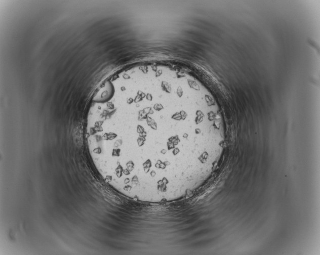 X0000096721409200803041352