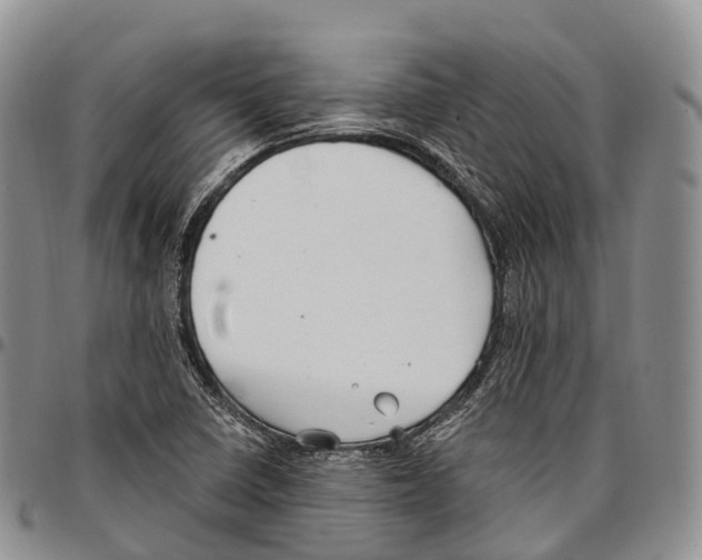 X0000096721410200803041352