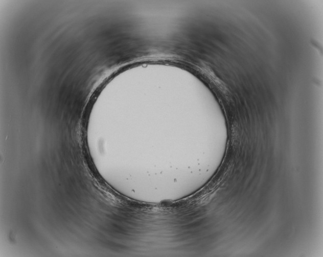 X0000096721412200803041352