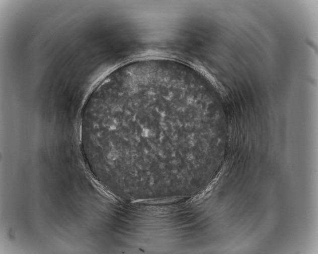 X0000096721413200803041352