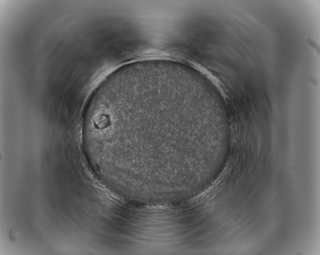 X0000096721415200803041352