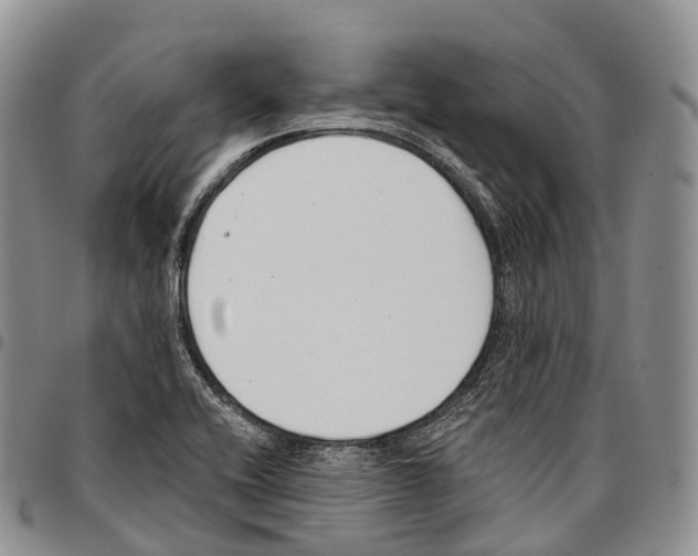 X0000096721416200803041352