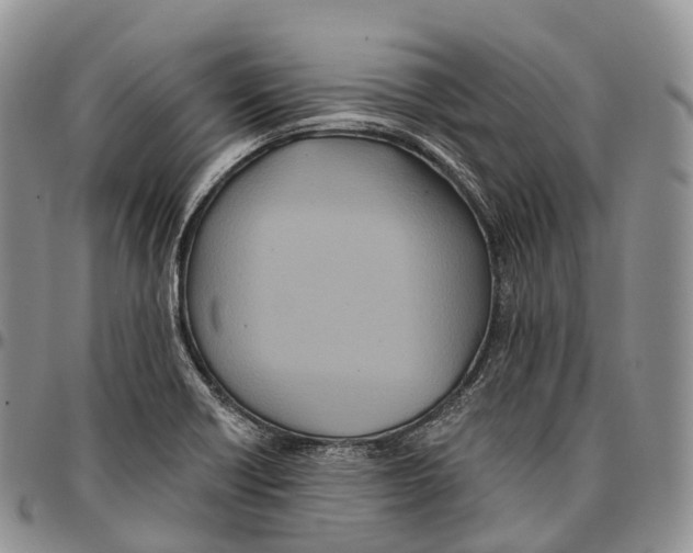 X0000096721418200803041352