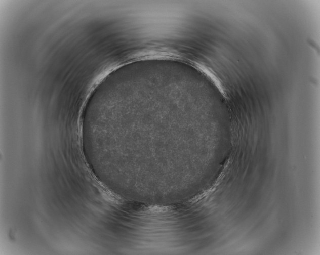 X0000096721419200803041352