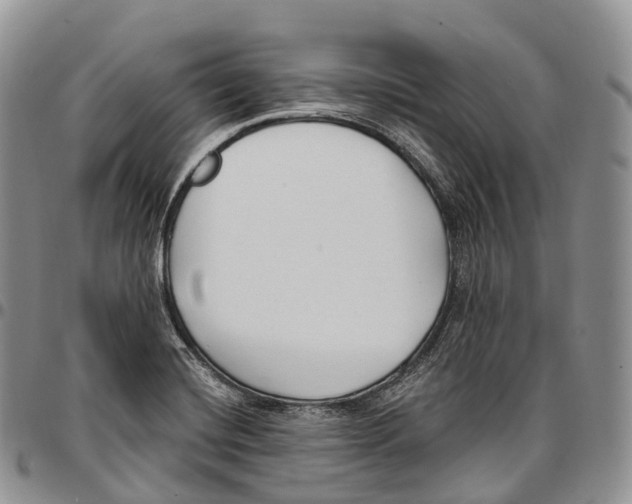 X0000096721420200803041352