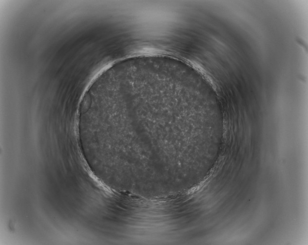 X0000096721421200803041352