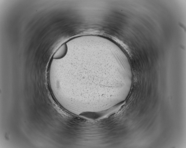 X0000096721423200803041352