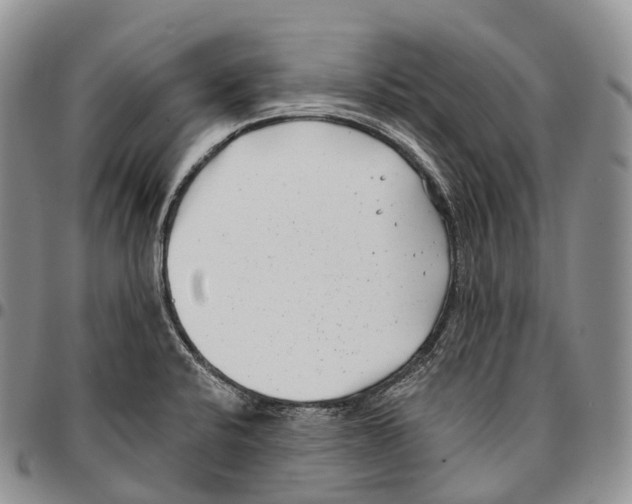 X0000096721424200803041352