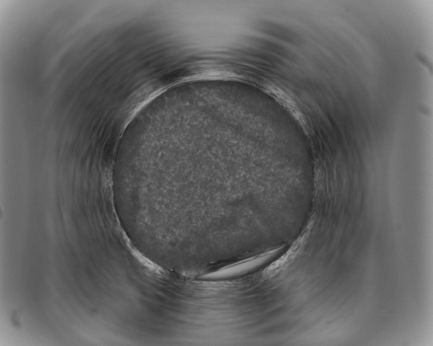 X0000096721425200803041352