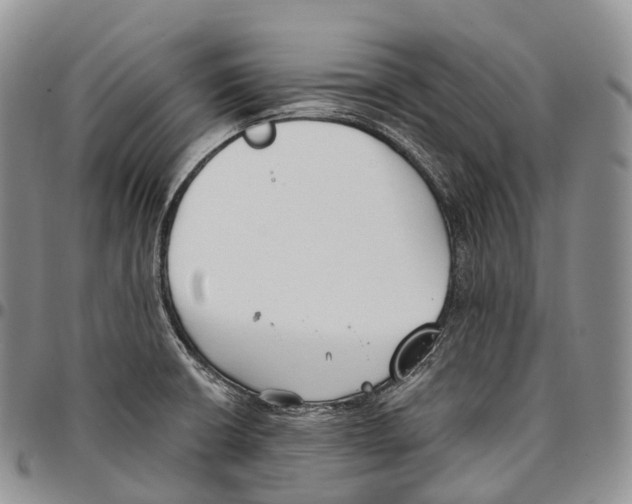 X0000096721426200803041352