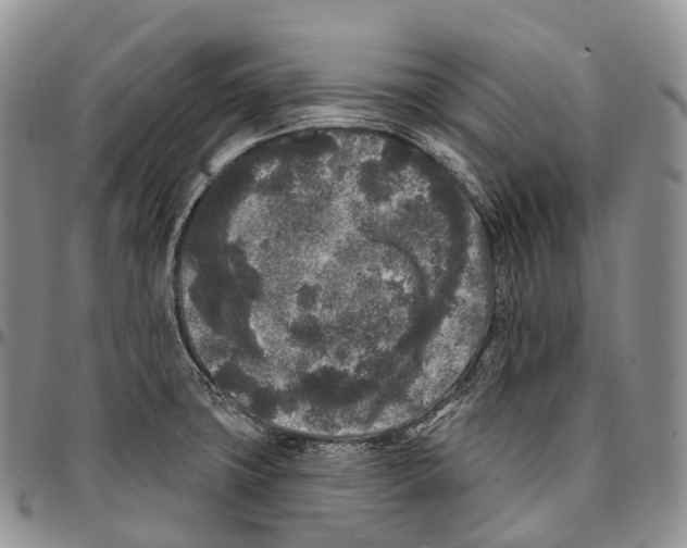 X0000096721427200803041352