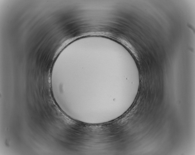 X0000096721428200803041352