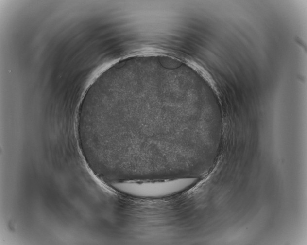 X0000096721429200803041353