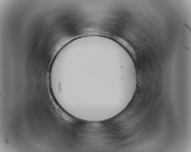 X0000096721431200803041353