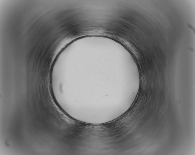 X0000096721432200803041353