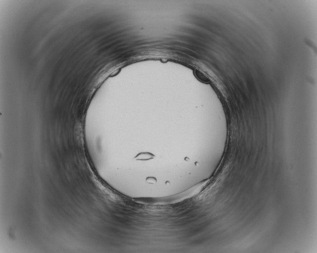 X0000096721433200803041353