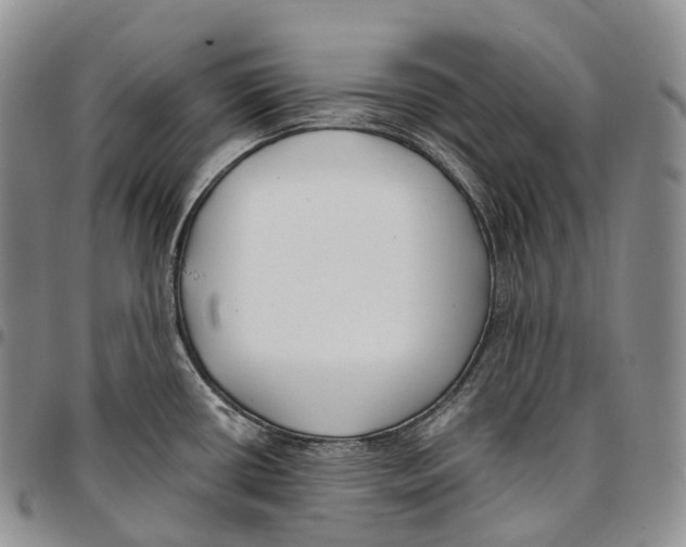 X0000096721434200803041353