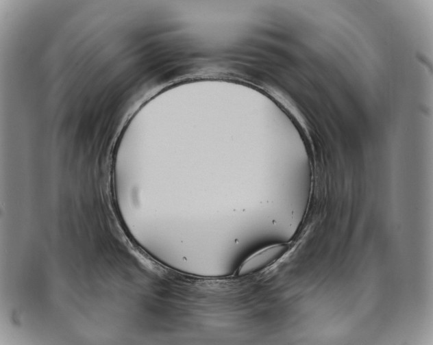 X0000096721437200803041353