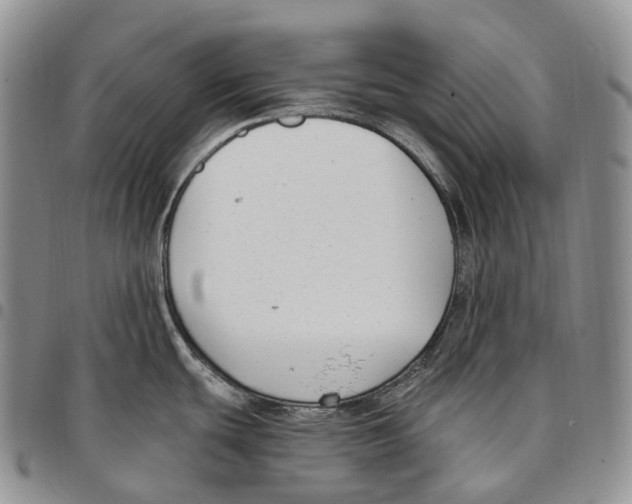 X0000096721439200803041353