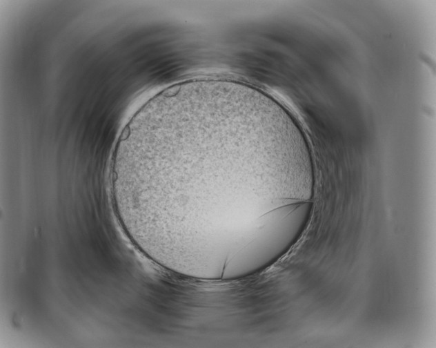 X0000096721440200803041353