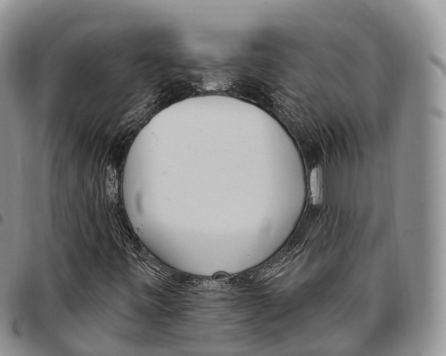 X0000096721443200803041352