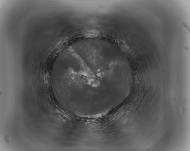 X0000096721445200803041352