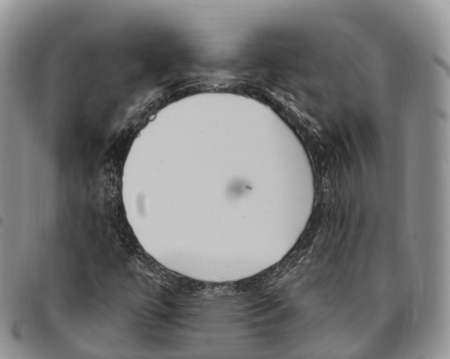 X0000096721447200803041352