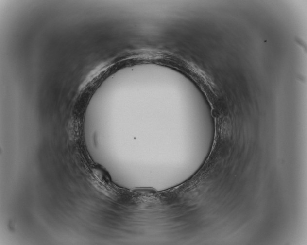 X0000096721448200803041352