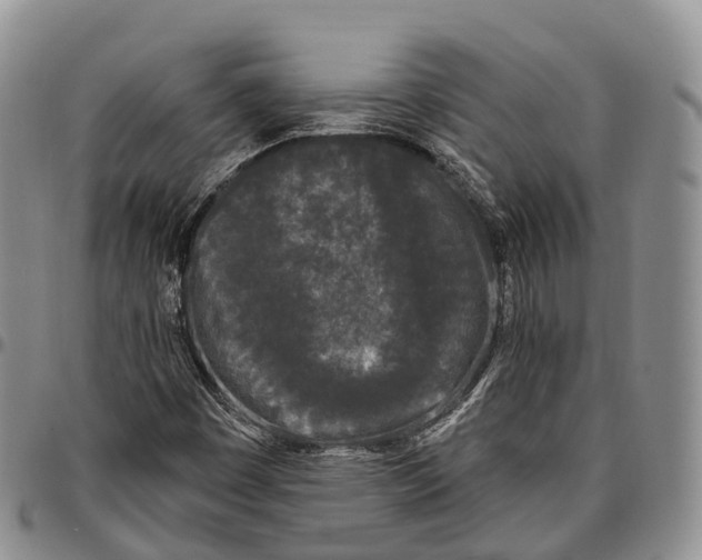 X0000096721449200803041352