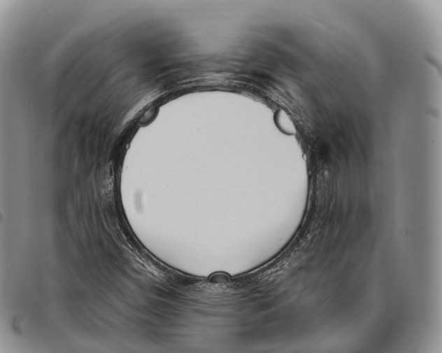 X0000096721450200803041352