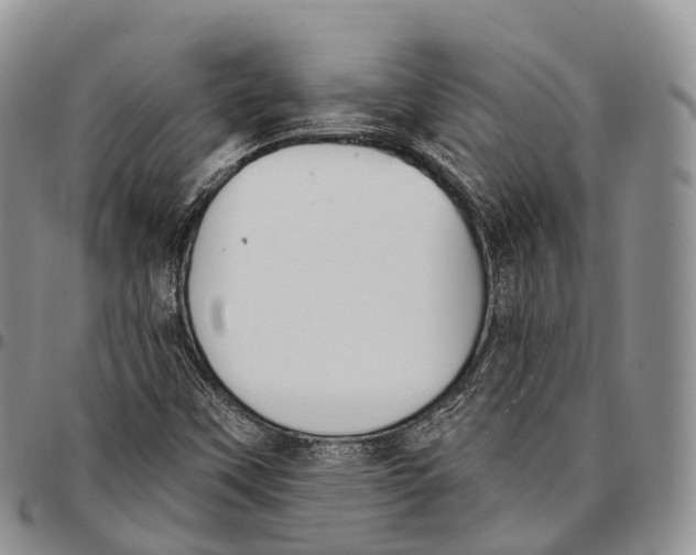 X0000096721451200803041352