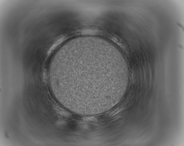 X0000096721454200803041352