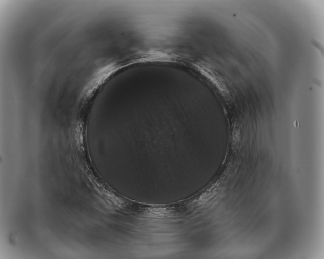 X0000096721455200803041352