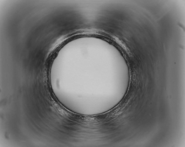 X0000096721456200803041352