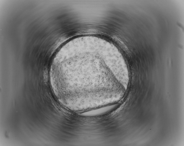 X0000096721457200803041352