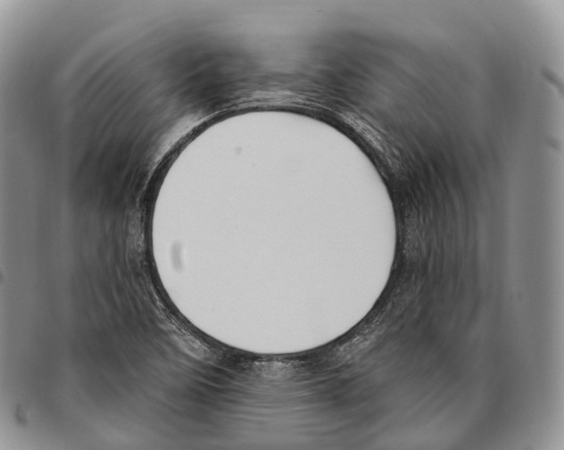 X0000096721458200803041352