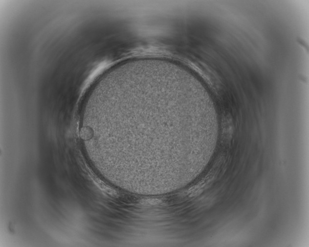 X0000096721462200803041352