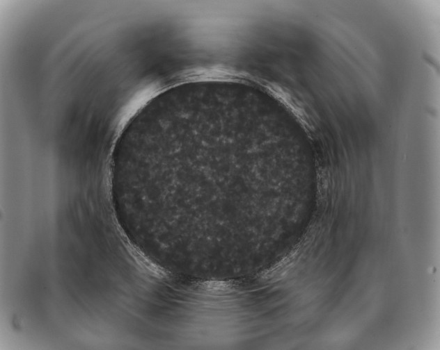 X0000096721463200803041352