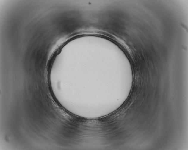 X0000096721464200803041352