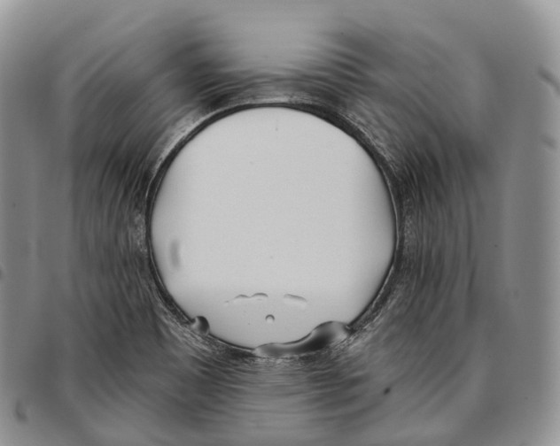 X0000096721465200803041352