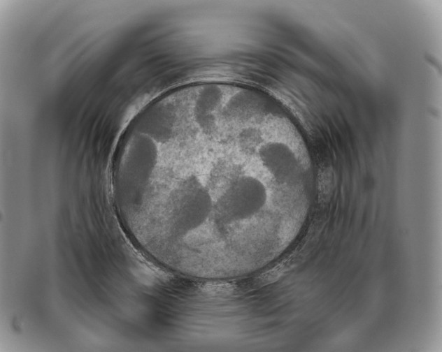 X0000096721466200803041352