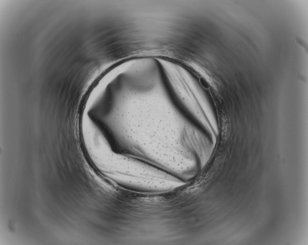 X0000096721468200803041352