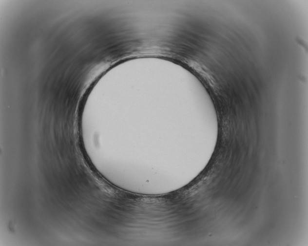 X0000096721469200803041352