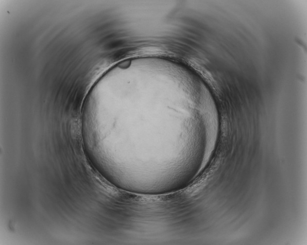 X0000096721473200803041352