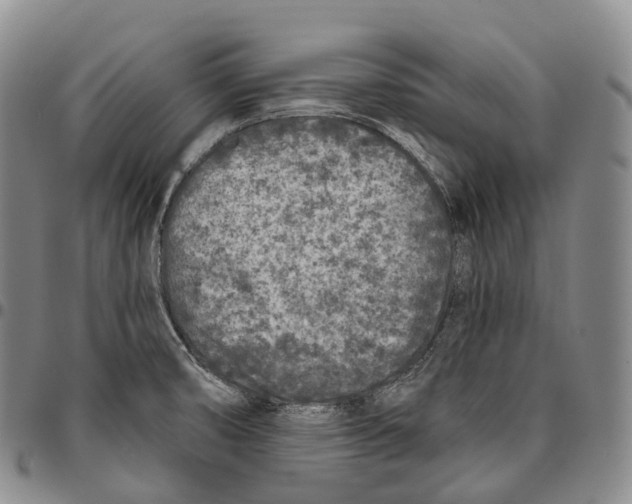 X0000096721474200803041352