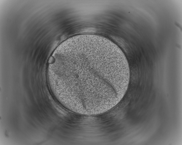 X0000096721475200803041352